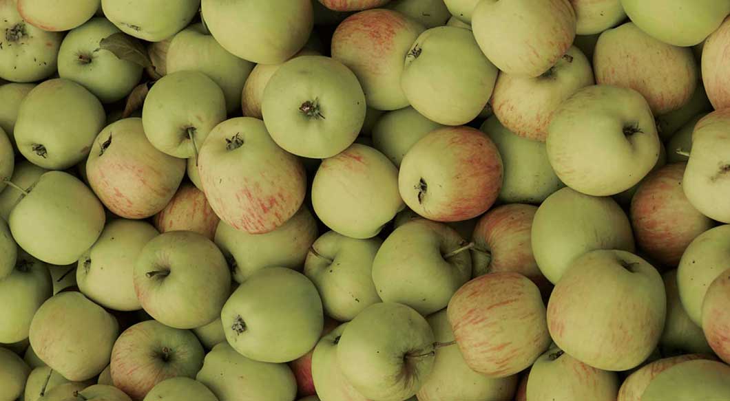Gravenstein Apples